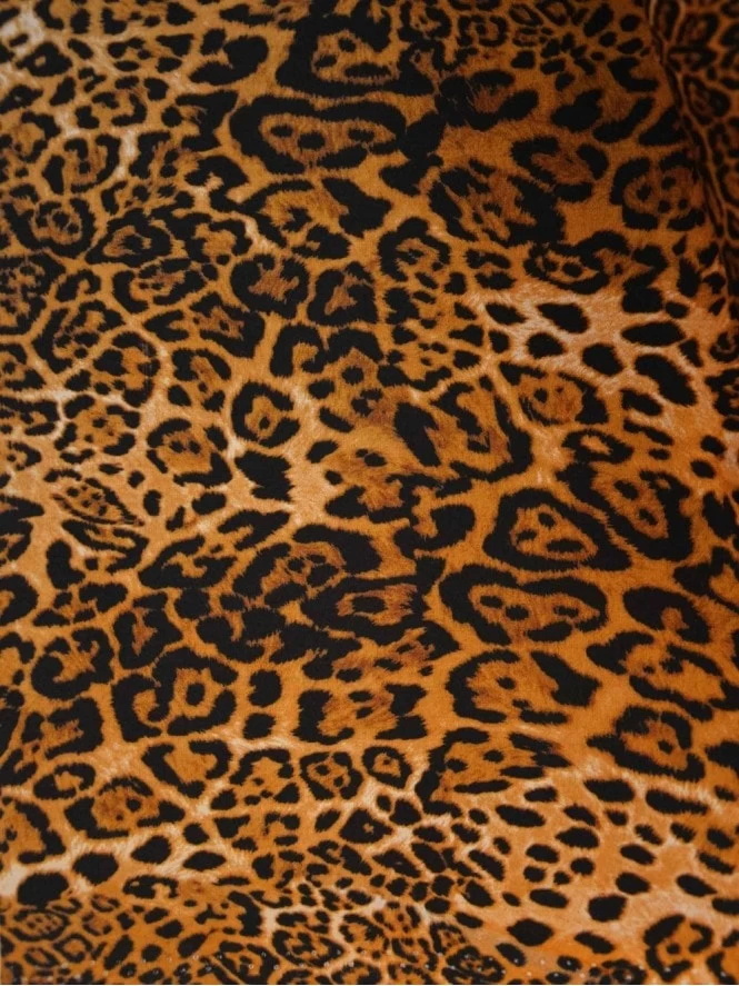 New Fit Kitty Leopard 5 New Fit Kitty Leopard - Image 3